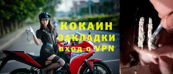 PSILOCYBIN Кодинск