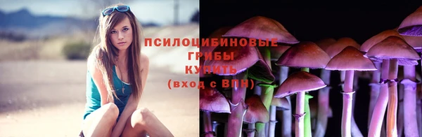 круглые Козельск