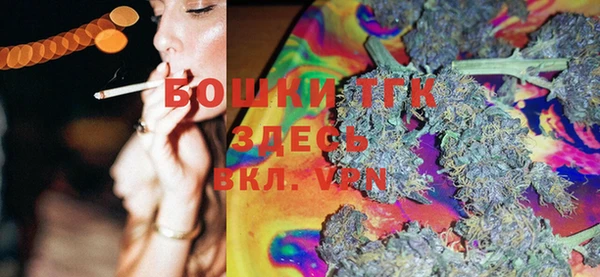 PSILOCYBIN Кодинск