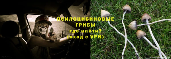 PSILOCYBIN Кодинск