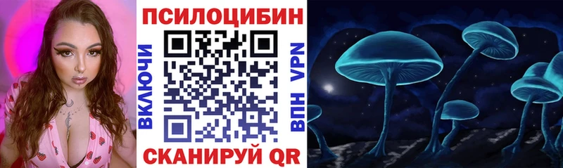 Купить закладки  Кондрово  Галлюциногенные грибы мицелий 