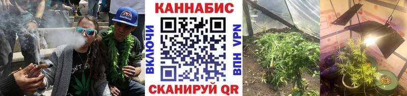Купить где Кондрово Каннабис SATIVA & INDICA